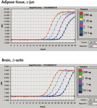 RNeasy Lipid Tissue Mini Kit: High-Yield RNA Extraction | QIAGEN