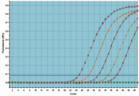 QuantiTect RT-PCR Kits