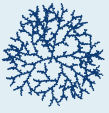 Activated-dendrimer structure.