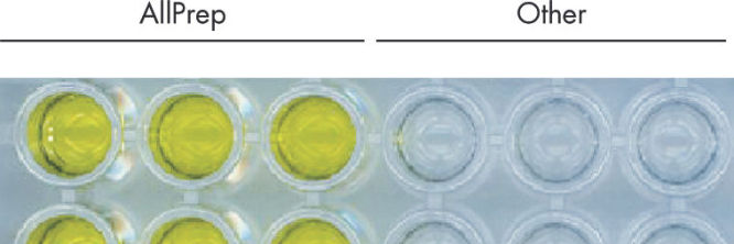 AllPrep RNA/Protein Kit