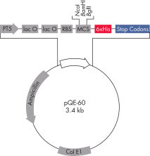 pue様 ニューバランス 紳士 メランジ柄ショート丈ソックス 3足組(25