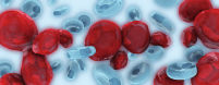 CALR RGQ PCR Kit RUO