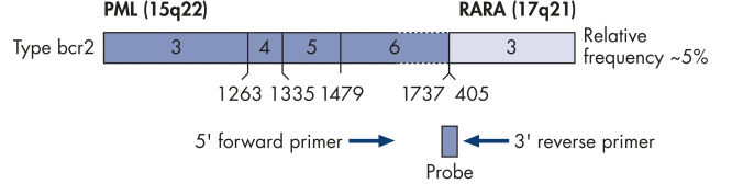 PML-RARA bcr2 gene transcript.
