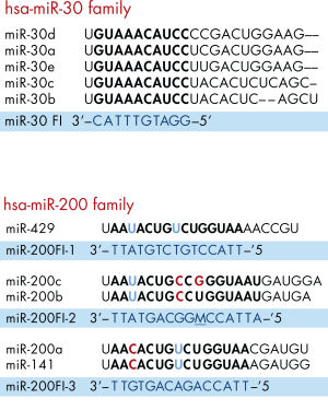 Example of miRNA family inhibitor design.