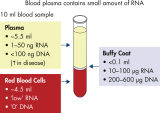 Blood serum and plasma contain small amounts of RNA.