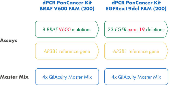 dPCR PanCancer Kit concept