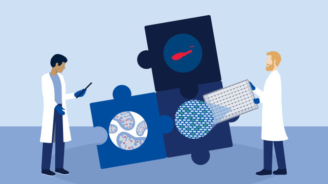 Explore the dPCR & qPCR assay portfolio