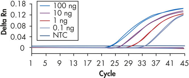 トライアルセット・サンプル Rin AllPrep DNA/RNA Kits | DNA/RNA Purification Kits | QIAGEN