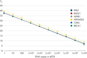 R・wmmさん専用ページ 1_5_WebFullSizeImage.jpg