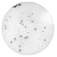 やすひぐ 3_10_PanoramaImage.jpg