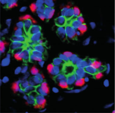 みりあん☺︎⑨ Model/羽田瑞歩さん @miss.seikei25_01 『 Clarity 』 ミクチャ