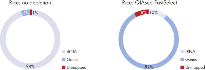 ジュンと木さん専用① QIAseq FastSelect –5S/16S/23S Kits バクテリアのrRNAを簡単に