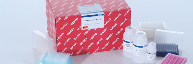 miRNeasy Kits | microRNA Purification Kits | QIAGEN