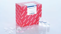 miRNeasy Kit for miRNA Purification