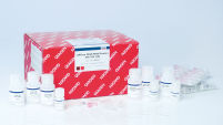 AllPrep DNA/RNA/Protein Mini Kit