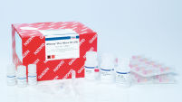 RNeasy Plus Micro Kit (50)