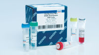 HotStarTaq Plus DNA Polymerase