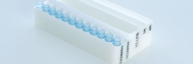 QIAxcel DNA Accessories