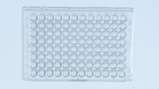 Ni-NTA HisSorb Strips and Plates