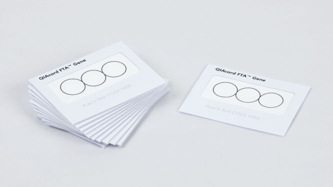 Non-Indicating FTA Cards for Blood & DNA Samples | QIAGEN