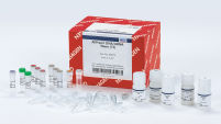 AllPrep DNA/mRNA Nano Kit
