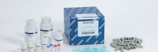 専用になります QIAwave Plasmid Miniprep Kit | Plasmid DNA Isolation| QIAGEN