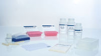 RNeasy Plus 96 Kit (12)