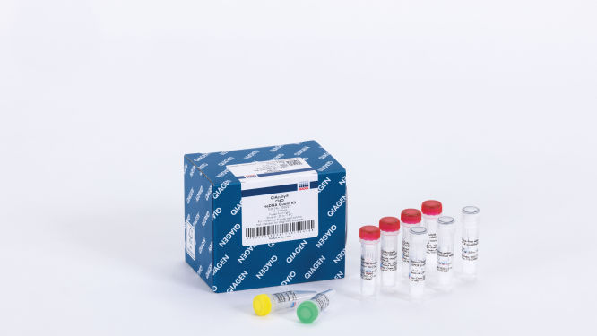 AllPrep DNA/RNA/miRNA Universal Kit
