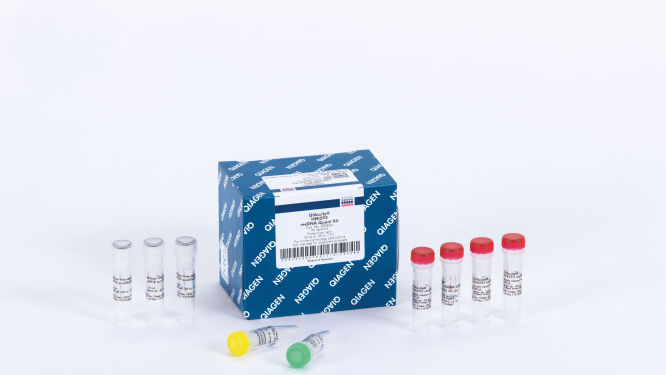 S_1262_4_LS_dPCR_QIAcuity_HEK293resDNA_Quant