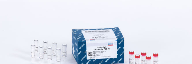 QIAcuity UCP Probe PCR Kit | QIAGEN
