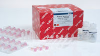 RNeasy MinElute Cleanup Kit – RNA Cleanup and Concentration