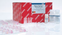RNeasy MinElute Cleanup Kit (50)