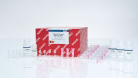 RNeasy Protect Mini Kit (50)