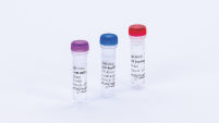 End-Repair Mix (high concentration)