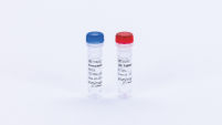 Exonuclease III