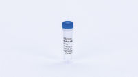 RNase Inhibitor