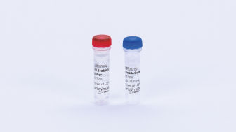 High-Fidelity Reverse Transcriptase for RNA to DNA Conversion