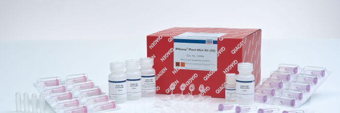 A♡R様 RNeasy Lipid Tissue Mini Kit