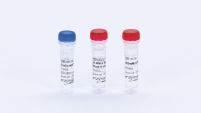 EnzScript Reverse Transcriptase