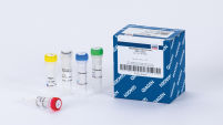 Taq DNA Polymerase