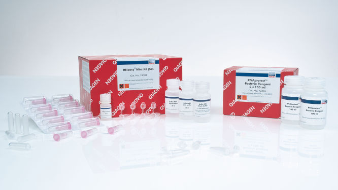 RNeasy Protect Kits | RNA Stabilization/Isolation | QIAGEN