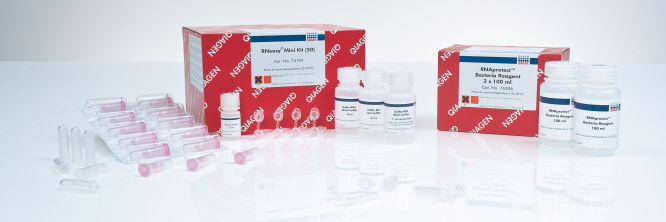 RNeasy Protect Kits | RNA Stabilization/Isolation | QIAGEN