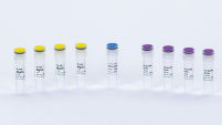 Stoffel DNA Polymerase