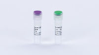 Tth DNA Ligase
