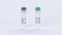 Tth DNA Ligase (2500 U)