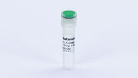 Saltonase (MBG and GMP-grade)