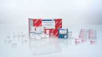 RNeasy Micro Kit (50)