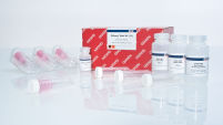 RNeasy Maxi Kit (12)