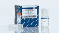 TransMessenger Transfection Reagent