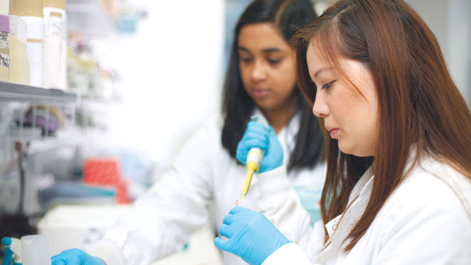 Looking for microbial targets?